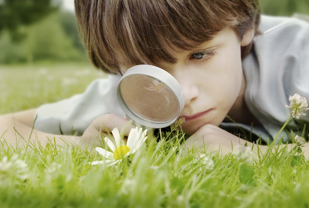 MagnifyingGlass